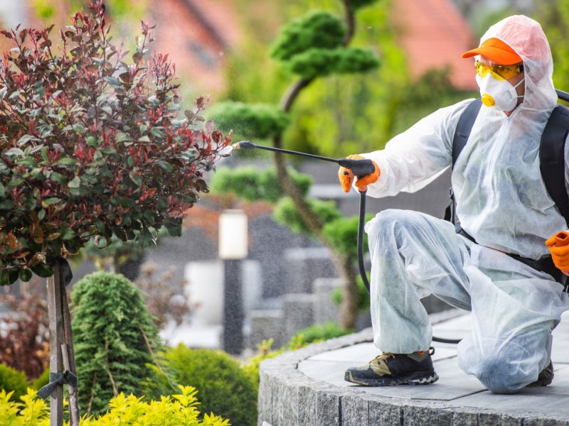 Mesudiye Haşere İlaçlama